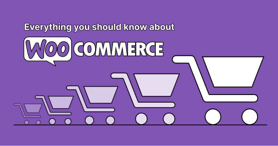 woocommerce development